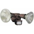 Coleman Cable 120 WATT BRONZE TWIN FLOOD LIGHT L6003BR